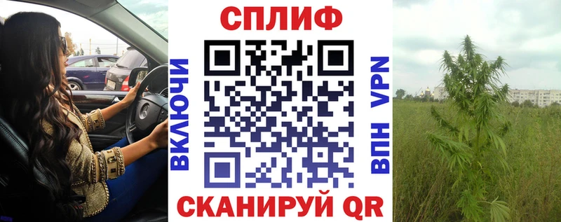 Купить наркотики цена Вельск Конопля  A PVP  ГАШИШ  Галлюциногенные грибы  Меф мяу мяу  АМФ 