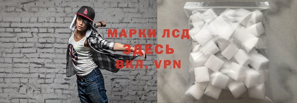 гашик Белокуриха