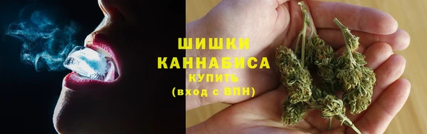гашик Белокуриха